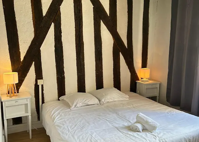 Gites Place Plumereau De Tours