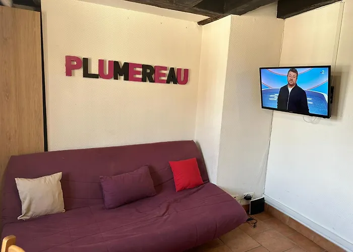 Gites Place Plumereau De Tours