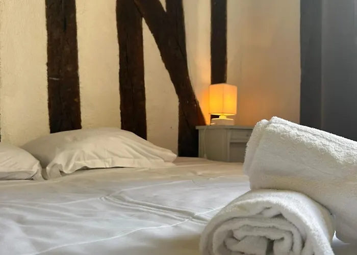 Gites Place Plumereau De Tours