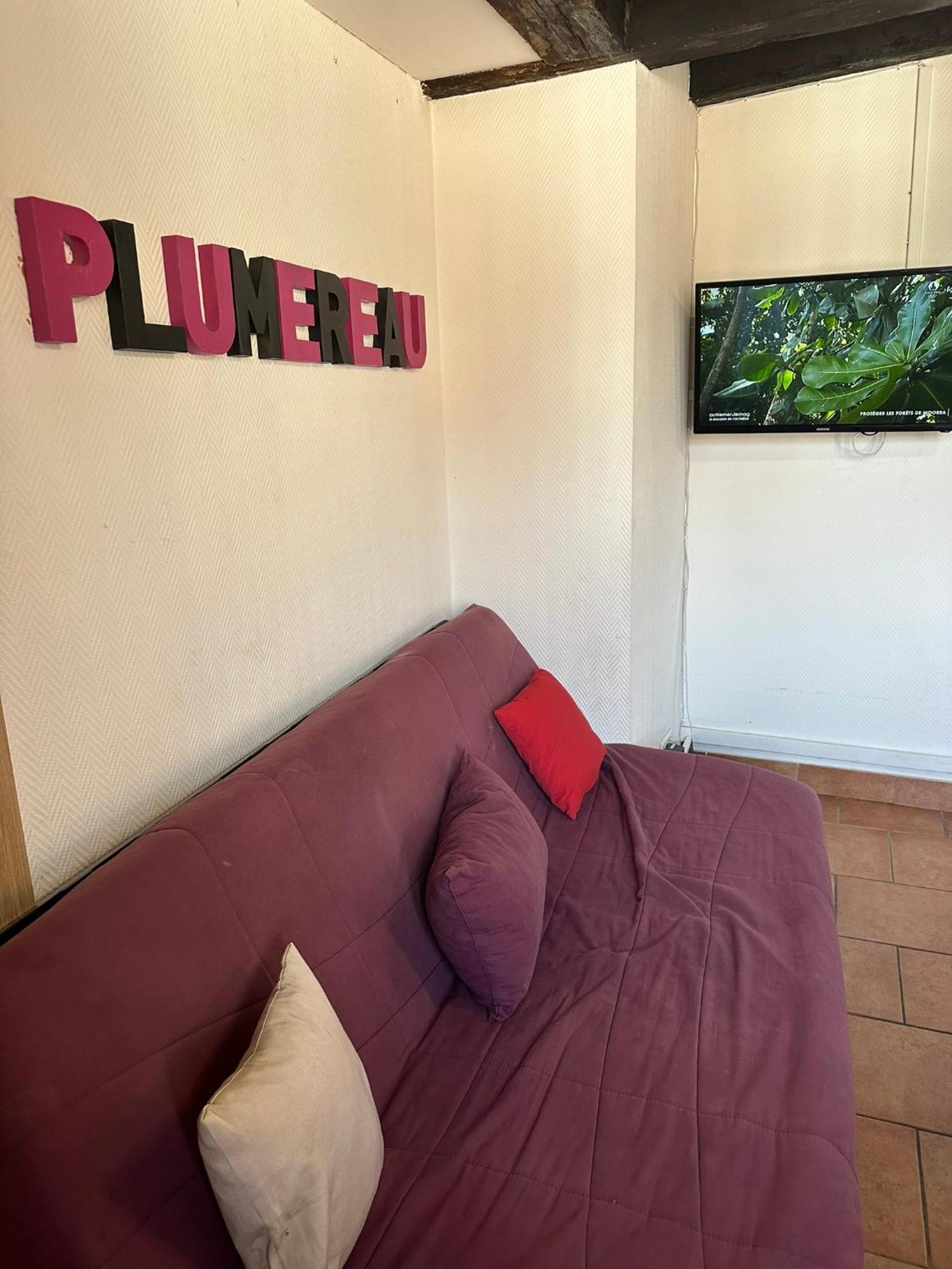 Place Plumereau De