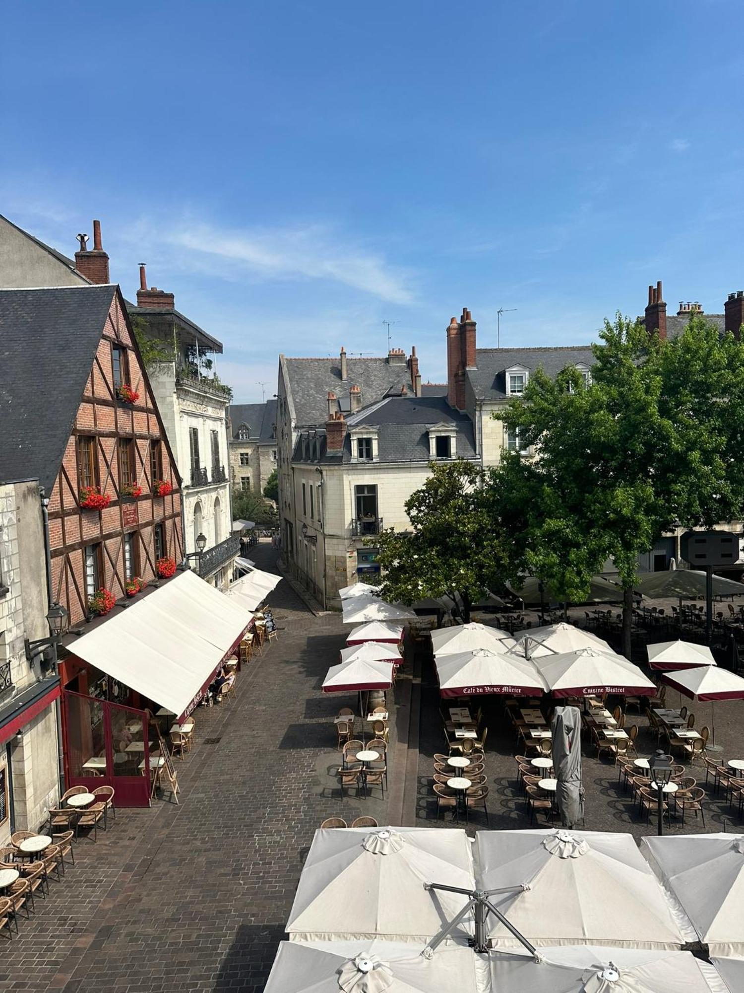 Place Plumereau De Tours