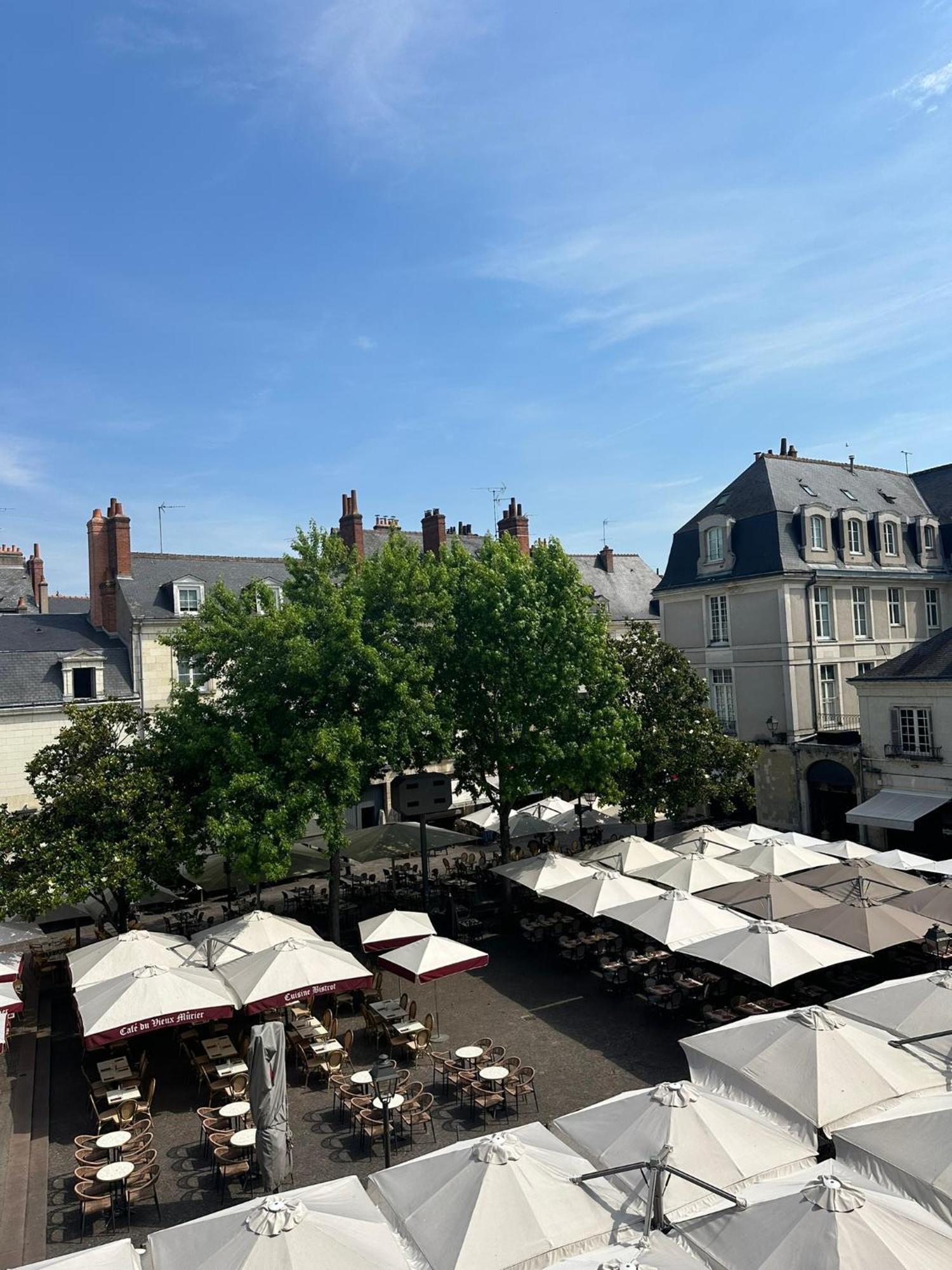 Place Plumereau De *