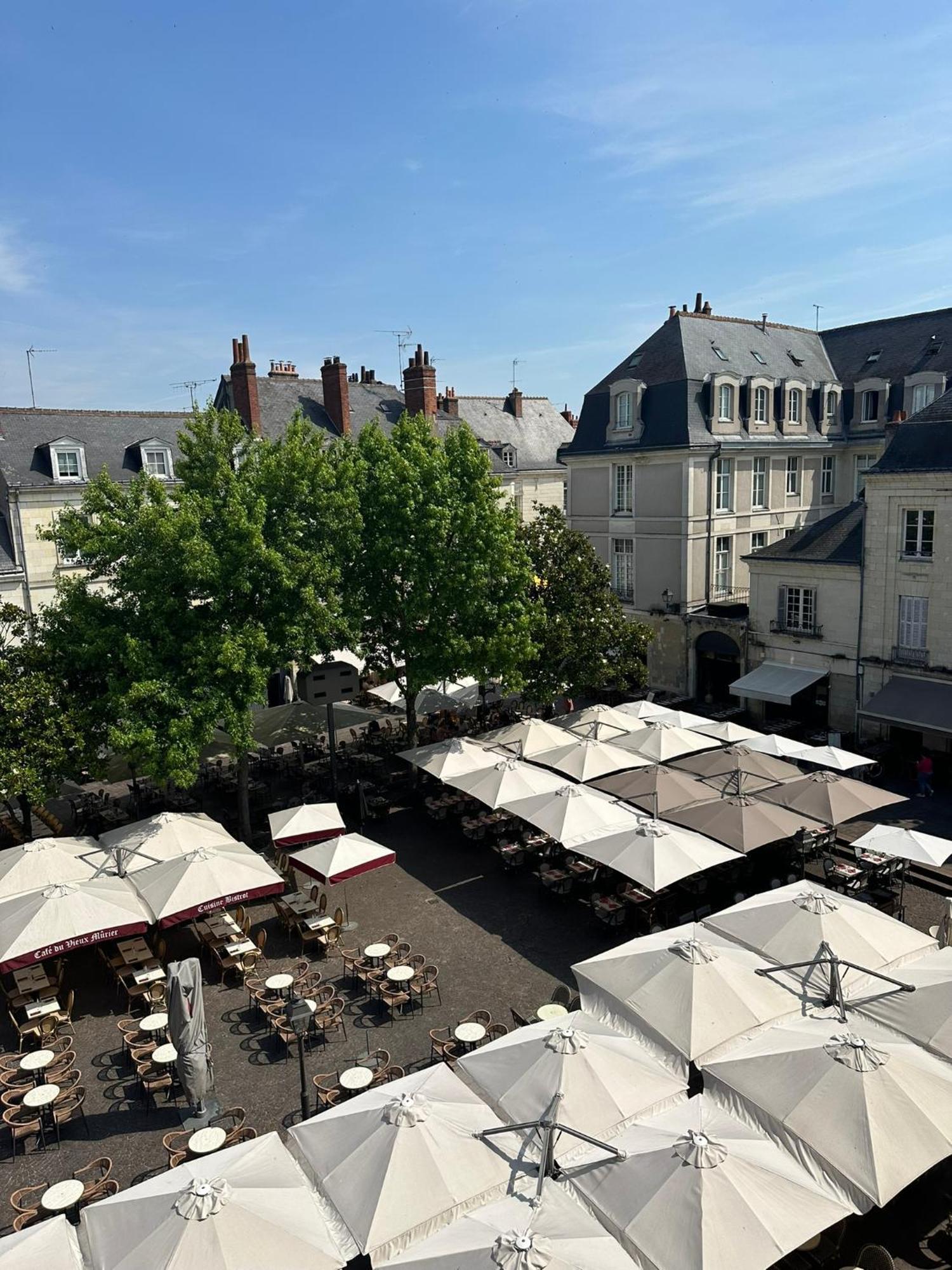 Place Plumereau De